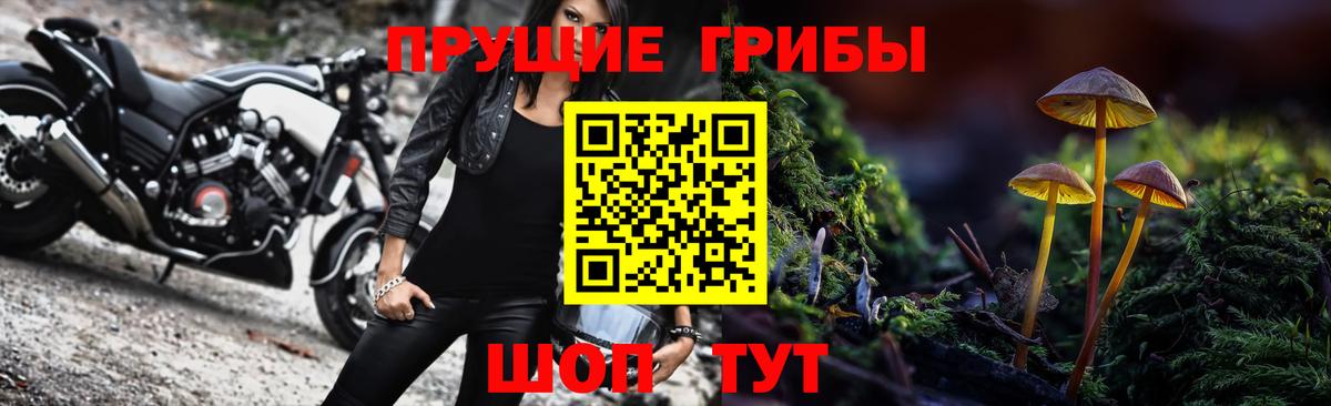 Назрань  Псилоцибиновые грибы MAGIC MUSHROOMS  Вход с VPN 